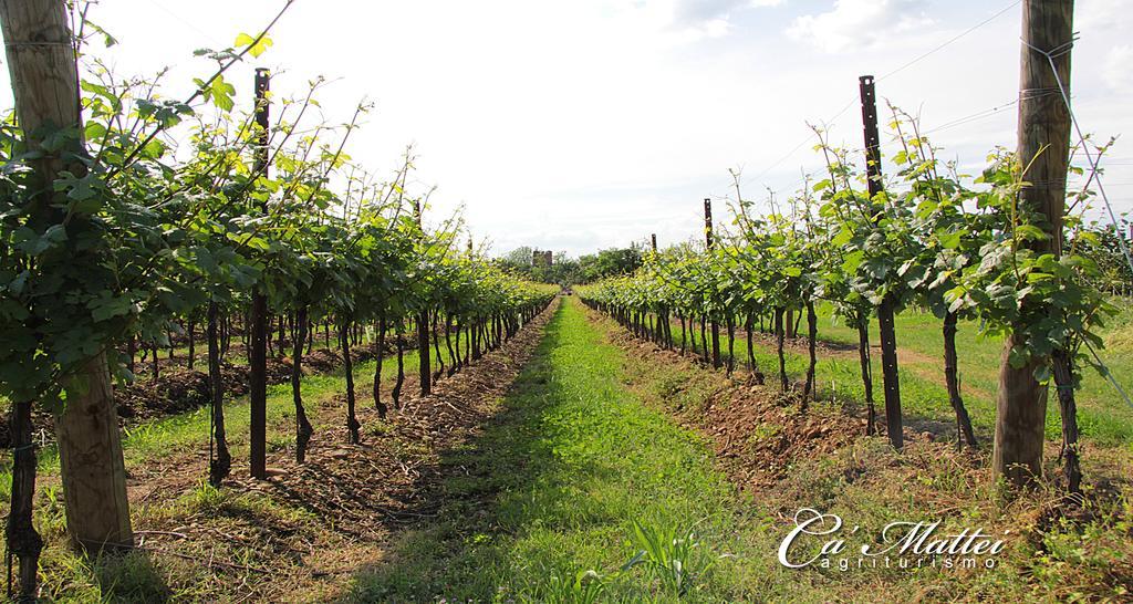 Agriturismo Ca'Mattei Pescantina Zewnętrze zdjęcie