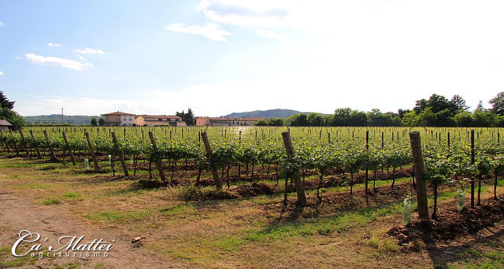 Agriturismo Ca'Mattei Pescantina Zewnętrze zdjęcie