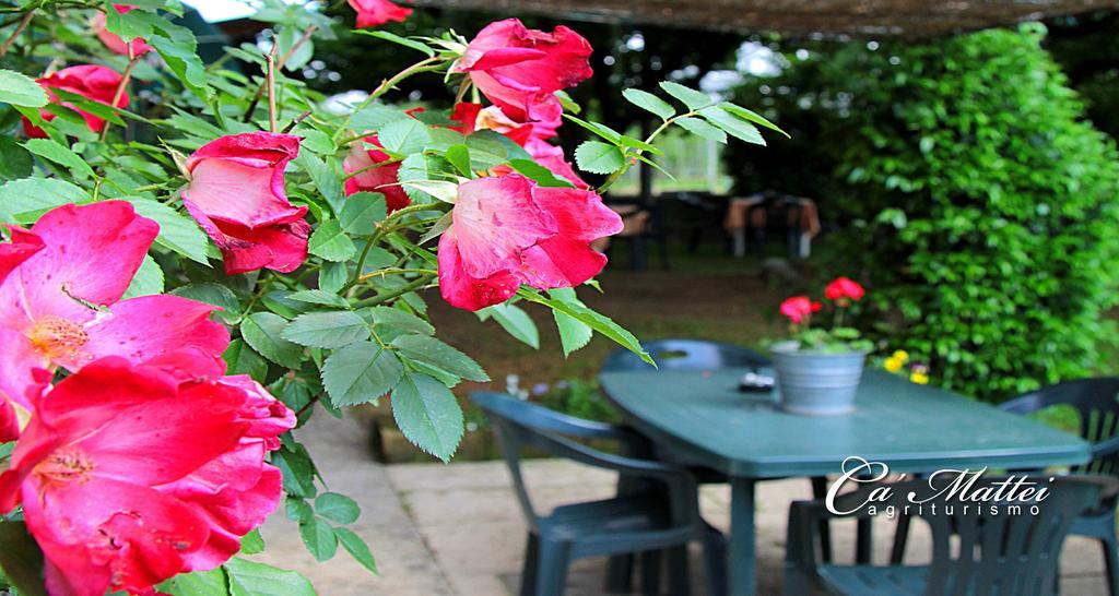 Agriturismo Ca'Mattei Pescantina Zewnętrze zdjęcie